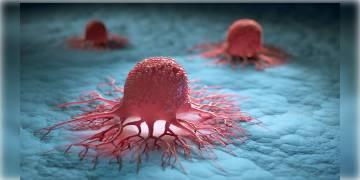 Read more about - বিশ্ব ক্যান্সার দিবস, একটু সচেতন হলেই প্রাথমিক স্তরে ক্যান্সার থামানো সম্ভব: চিকিৎসক জয়ন্ত চক্রবর্তী