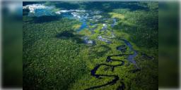 Read more about - Amazon Rainforest | বদলে যাবে মানব সভ্যতা সম্পর্কে সকল ধারণা! অ্যামাজনের গভীরে ৩ হাজার বছর পুরোনো শহরের হদিশ!