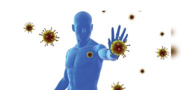 Read more about - শরীরের রোগ প্রতিরোধ ক্ষমতা বাড়াতে হলে কী ধরনের খাদ্য গ্রহণ সহায়তা করে