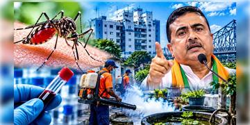 Read more about - Dengue Control Work | পুজোর মাঝেও অব্যাহত ডেঙ্গি নিয়ন্ত্রণের কাজ! নির্দেশিকা জারি স্বাস্থ্য দপ্তরের