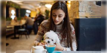 Read more about - Pet Friendly Cafes in Kolkata | পোষ্যকে বাড়িতে রেখে নয়,সঙ্গে নিয়েই মজা করুন ক্যাফেতে! রইলো কলকাতার সেরা 'পেট ফ্রেন্ডলি' ক্যাফের খোঁজ!