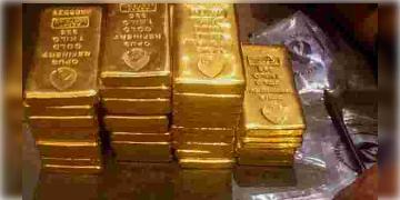 Read more about - প্রায় ৫৩ কোটি টাকার সোনা উদ্ধার করা হয়েছে আন্তর্জাতিক বিমান বন্দর থেকে