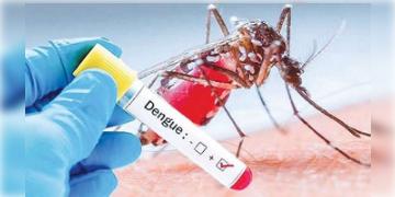 Read more about - করোনার পাশাপাশি উদ্বেগ বাড়াচ্ছে ডেঙ্গির প্রকোপ