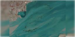 Read more about - Iran War | সমুদ্রে মিশছে বিপুল পরিমাণ তেল, আমেরিকা-ইরান সংঘাতের জেরে বিপর্যয়ের মুখে সামুদ্রিক প্রাণীকুল!