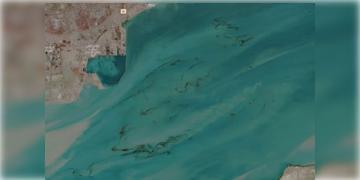 Read more about - Iran War | সমুদ্রে মিশছে বিপুল পরিমাণ তেল, আমেরিকা-ইরান সংঘাতের জেরে বিপর্যয়ের মুখে সামুদ্রিক প্রাণীকুল!