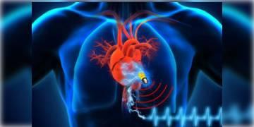 Read more about - বিজ্ঞানীদের নয়া উদ্ভাবন, অস্ত্রোপাচার ছাড়াই শরীরেই গলে যাবে পেসমেকার!