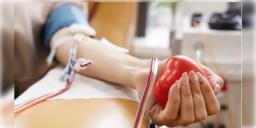 Read more about - Kolkata blood scam | শহরজুড়ে ৩৫টি রক্তদান শিবির! হাসপাতালে পৌঁছয়নি রক্ত! ১৬০০ ইউনিট গেল কোথায়? শুরু তদন্ত!