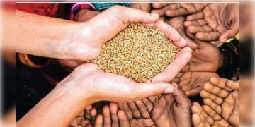 Read more about - ফ্রি রেশনের মেয়াদ আরও ৪ মাস বাড়ানোর সিদ্ধান্ত নিল কেন্দ্র