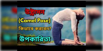 Read more about - উষ্ট্রাসন করার নিয়ম, পদ্ধতি ও বিস্তারিত তথ্য, All details about Ustrasana in bengali