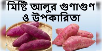 Read more about - মিষ্টি আলু খাওয়ার উপকারিতা, Benefits of eating sweet potato in bengali