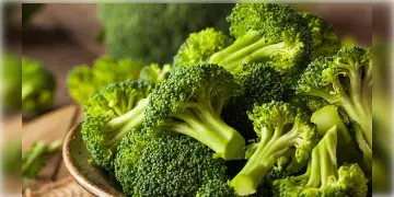 Read more about - নানা গুণে সমৃদ্ধ ব্রকোলি, এই সবজিতে কী কী উপকারিতা রয়েছে তা জেনে নেওয়া যাক