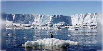 Read more about - অ্যান্টার্কটিকায় গলবে সবচেয়ে বড় বরফের চাঙড়! বিজ্ঞানীদের সতর্কবার্তা জলমগ্ন হতে পারে বহু শহর।  