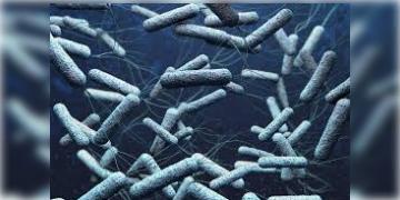 Read more about - Cholera | ডায়রিয়া, বমি, জ্বর, পেটে ব্যথা হলেই সাবধান! কলকাতায় ছড়াচ্ছে কলেরার আতঙ্ক!