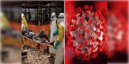 Read more about - Ebola | ইবোলা ভাইরাস নিয়ে বিশ্বজুড়ে সতর্কবার্তা WHO-র, কড়া নজরদারি ও প্রস্তুতিমূলক ব্যবস্থা ভারতের!
