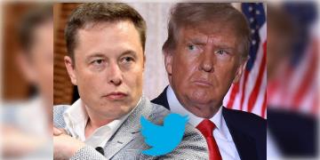 Read more about - টুইটার আধিকারিক ইলন মাস্ক সমীক্ষা করলেন ডোনাল্ড ট্রাম্পের টুইটার অ্যাকাউন্ট ফেরানো নিয়ে