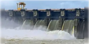 Read more about - DVC | বিপদসীমা থেকে বেশ অনেকটা নীচে জল, অভিযোগ, তবু জল ছাড়ছে ডিভিসি! সৃষ্টি বন্যা পরিস্থিতি