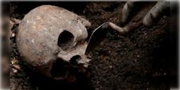 Read more about - Dharmasthala | পবিত্র ধর্মস্থলা মন্দিরে একাধিক ধর্ষণ-খুন ও গণ-কবর? সাফাইকর্মীর দেখানো স্থান থেকে উদ্ধার মানব কঙ্কাল!