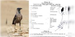 Read more about - Bihar | 'ডগবাবু'র পর এবার ‘কাউয়া’! বিহারে স্থায়ী বাসিন্দা সার্টিফিকেট পাওয়ার জন্য আবেদন জানালো এক কাক!