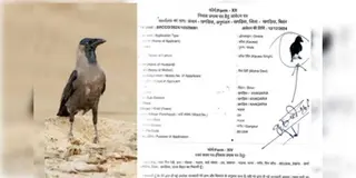 Read more about - Bihar | 'ডগবাবু'র পর এবার ‘কাউয়া’! বিহারে স্থায়ী বাসিন্দা সার্টিফিকেট পাওয়ার জন্য আবেদন জানালো এক কাক!