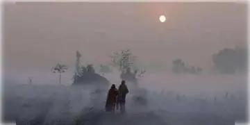 Read more about - পৌষে পারদ পতন! ঢুকছে উত্তুরে হাওয়া স্বস্তি রাজ্যবাসীর                    