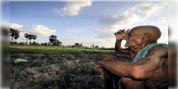 Read more about - কম বৃষ্টিপাতের জেরে প্রভাব পড়েছে ধান চাষে, খাদ্য নিরাপত্তার স্বার্থে বিধিনিষেধ জারি হল চাল রফতানিতে