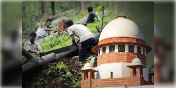 Read more about - Supreme Court | গাছ কাটা নরহত্যার চেয়েও খারাপ ! বেআইনিভাবে গাছ কাটলে কোনও ক্ষমা নয়, বার্তা সুপ্রিম কোর্টের