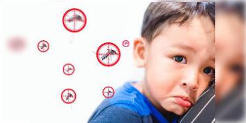 Read more about - 7 Warning Signs of Dengue Fever | শহরে বাড়ছে ডেঙ্গুর বাড়বাড়ন্ত! শিশুর জ্বর হলে তা 'সাধারণ' ভেবে করবেন না ভুল! দেখুন ডেঙ্গু জ্বরের ৭টি সতর্কীকরণ লক্ষণ!