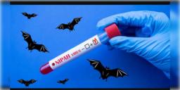 Read more about - Nipah Virus | নিপা আতঙ্কে কিছুটা স্বস্তি, অবস্থার উন্নতি দুই নার্সের! কী জানাচ্ছেন স্বাস্থ্যকর্তারা?