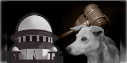 Read more about - Stray Dogs | জলাতঙ্কে সংক্রমিত ও মানুষের জন্য বিপজ্জনক কুকুরদের প্রয়োজনে মেরে ফেলার অনুমতি সুপ্রিম কোর্টের!