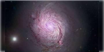 Read more about - ম্যাগনেটিক ‘ফিঙ্গার প্রিন্ট’! ২৪ হাজার আলোকবর্ষ দূরের ছায়াপথে চৌম্বকীয় ‘ফিঙ্গার প্রিন্ট’ ধরল নাসা। 