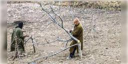 Read more about - কাশ্মীরে ১৫০ জনজাতি পরিবারকে উচ্ছেদের নোটিস বন দফতরের, বিপাকে যাযাবরেরা।  