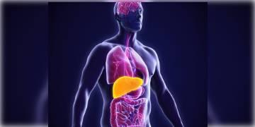 Read more about - 'ফ্যাটি লিভার' - কি কি উপসর্গ দেখে সতর্ক হবেন, কি মেনে চলবেন? জানা যাক...