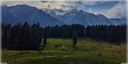 Read more about - Kashmir | পহলগাঁওতে সন্ত্রাসবাদী হামলার জের, খাঁ খাঁ করছে জনহীন বৈসরণ ভ্যালি!