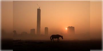 Read more about - Weather Update । একধাক্কায় পারদ কমল রাজ্যে, তবে কি শীতঋতু কড়া নাড়লো দরজায়?