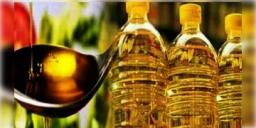 Read more about - খুশির খবর! দেশজুড়ে সস্তা হতে চলেছে ভোজ্য তেলের দাম