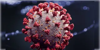 Read more about - Covid-19 | দেশে ফের করোনার ভ্রূকুটি, বুঝবেন কীভাবে? মানবেন কোন কোন নিয়ম?