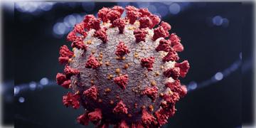 Read more about - Covid-19 | দেশে ফের করোনার ভ্রূকুটি, বুঝবেন কীভাবে? মানবেন কোন কোন নিয়ম?