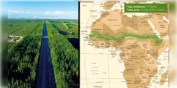 Read more about - মরুভূমির অগ্রগতি রুখতে সাহারায় তৈরি হবে ‘গ্রেট গ্রিন ওয়াল’            