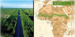 Read more about - মরুভূমির অগ্রগতি রুখতে সাহারায় তৈরি হবে ‘গ্রেট গ্রিন ওয়াল’            