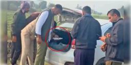 Read more about - Rajasthan | বর্ষবরণের উৎসবে নাশকতার ছক! রাজস্থানে উদ্ধার ১৫০ কেজি বিস্ফোরক বোঝাই গাড়ি