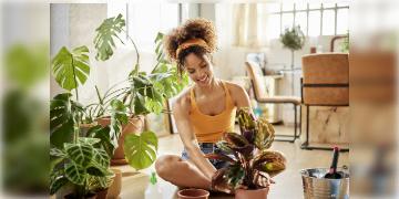 Read more about - Indoor Plants for Oxygen | বায়ু দূষণ থেকে বাঁচুন! বাড়িতে এই ইনডোর প্ল্যান্ট লাগিয়ে বৃদ্ধি করুন অক্সিজেনের মাত্রা! কমবে বায়ুর দূষকের পরিমাণও!