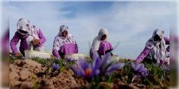 Read more about - তালিবানের ভয়ে আফগান মহিলা শ্রমিকরা আর ঘরবন্দি হয়ে থাকবেন না বলে স্পষ্ট জানিয়েছেন