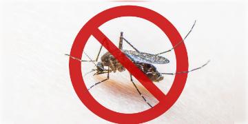 Read more about - National Dengue Day | আজ জাতীয় ডেঙ্গু দিবস! জানুন ডেঙ্গুর লক্ষণ ও চিকিৎসা