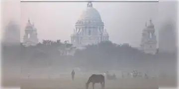 Read more about - তাপমাত্রা কমতে শুরু করেছে, অনুভূত হচ্ছে হালকা শীতের আমেজ