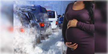 Read more about - গর্ভপাত বৃদ্ধির অন্যতম কারণ হল বায়ুদূষণ, দাবি নয়া সমীক্ষার  