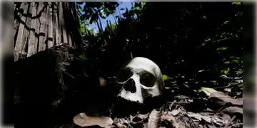 Read more about - Beliaghata ID Hospital | বেলেঘাটা আইডি হাসপাতাল চত্বরের জঙ্গল থেকে উদ্ধার মানুষের মাথার খুলি, হাড়গোড়