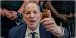 Read more about - Harvey Weinstein | সহকারী-অভিনেত্রীদের ধর্ষণ এবং যৌন নির্যাতন, রিট্রায়ালেও দোষী সাব্যস্ত অস্কারজয়ী প্রযোজক