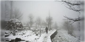 Read more about - Delhi Weather | ৪.৯ ডিগ্রিতে নামলো দিল্লির তাপমাত্রা! শ্রীনগরের সর্বনিম্ন তাপমাত্রা মাইনাস তিন ডিগ্রি