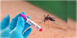 Read more about - Dengue Alert | এক মাসে আক্ৰান্ত বেড়ে ৩,২০০! রাজ্যে দুশ্চিন্তা বাড়াচ্ছে ডেঙ্গু