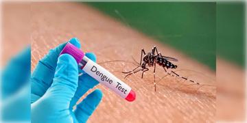 Read more about - Dengue Alert | এক মাসে আক্ৰান্ত বেড়ে ৩,২০০! রাজ্যে দুশ্চিন্তা বাড়াচ্ছে ডেঙ্গু